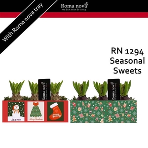 Arrangementen Hyacinthus 6%