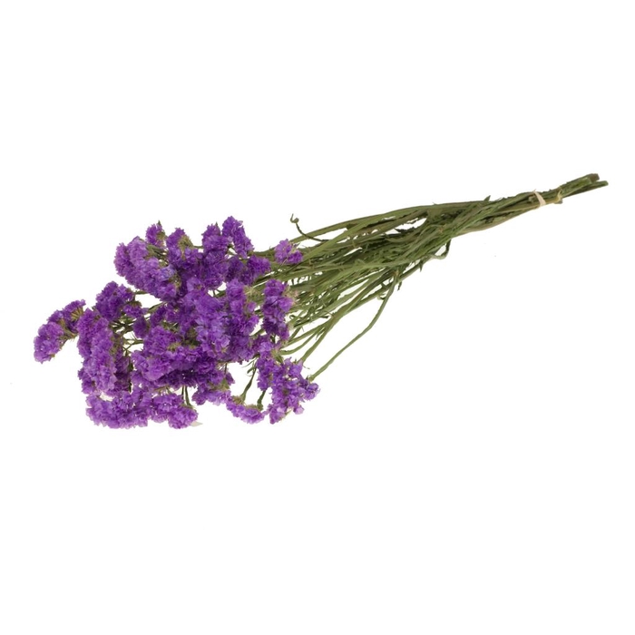 <h4>Statice Sinuata Natural Dark Lilac</h4>