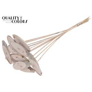 Wood oval Slice on stem Frosted White