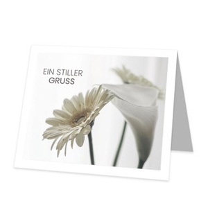 Labels Card 09*8cm x12 Ein stiller