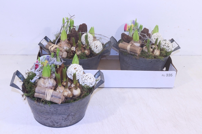 <h4>ARR BOL KNOLGEWAS</h4>