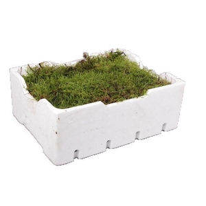 Moss Flat
