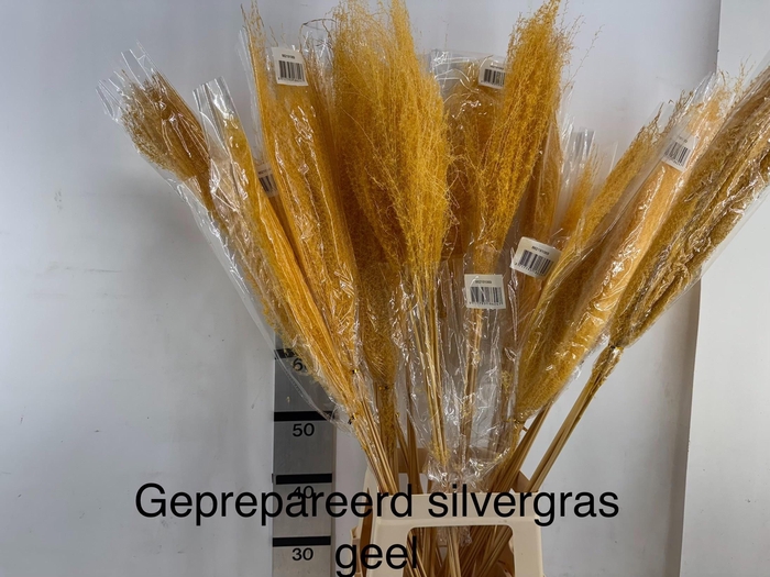 <h4>HUIS EN TUINDECO H%</h4>