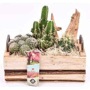 Hout rechth. met handvat 20x11cm