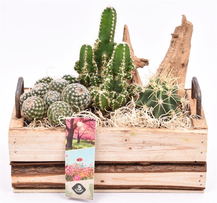 <h4>Hout rechth. met handvat 20x11cm</h4>