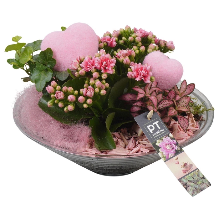 <h4>Arr.    Planten  L%</h4>