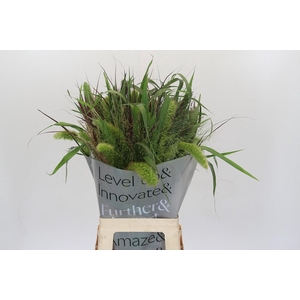 Grasses mix in bucket