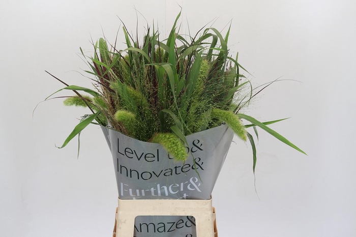 Grasses mix in bucket