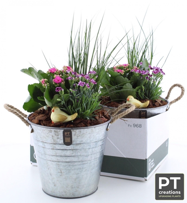<h4>ARR TUINPLANTEN</h4>