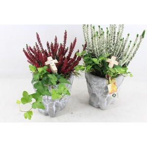 arr4 Outdoor JS - Ker. pot engel caluna/hedera