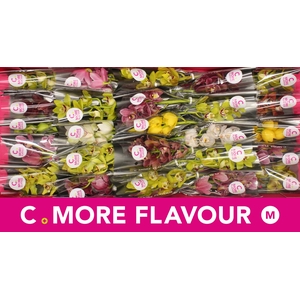 Mini cymbidium 'Mix 30' cm