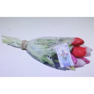 3118 Kunst Tulp Rood/roze