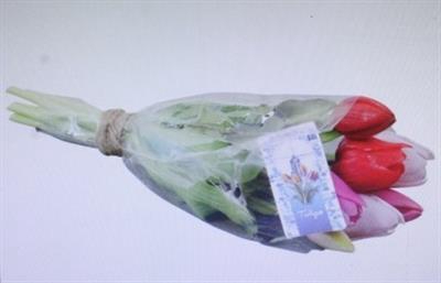 <h4>3118 Kunst Tulp Rood/roze</h4>