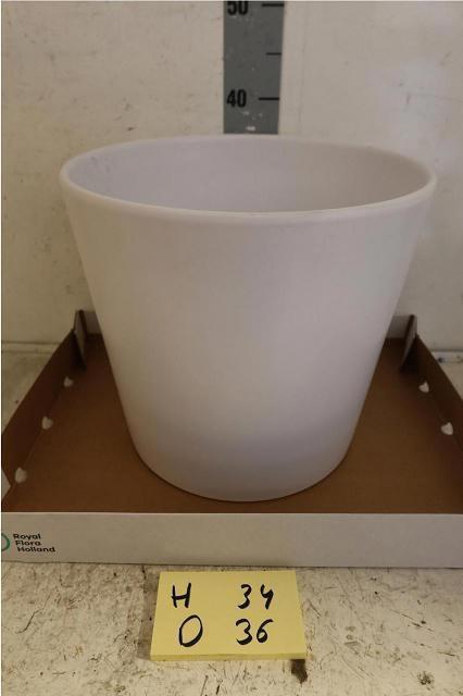 <h4>HUIS EN TUINDECO H%</h4>