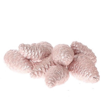 <h4>Dennenappels Pinea wax closed 7cm x8</h4>