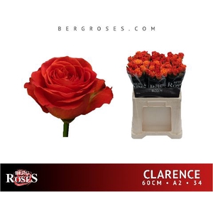 R Gr Clarence Berg A2