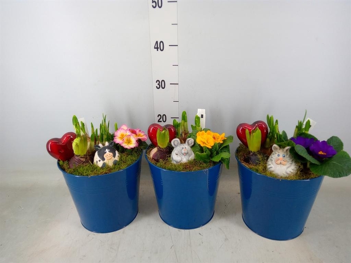 <h4>Planten  ..in schaal L%</h4>