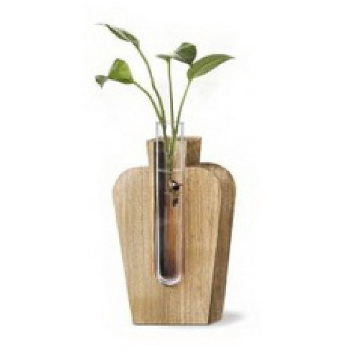 Glass vase+1tube d02 12 5cm