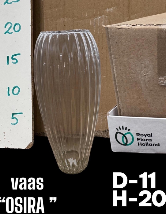 <h4>GLAZEN VAAS H%</h4>