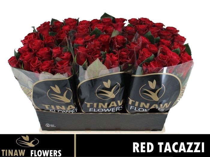 <h4>R Gr Red Tacazzi</h4>