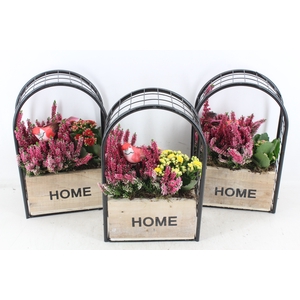 arr4 Outdoor DT - Metalen boog home