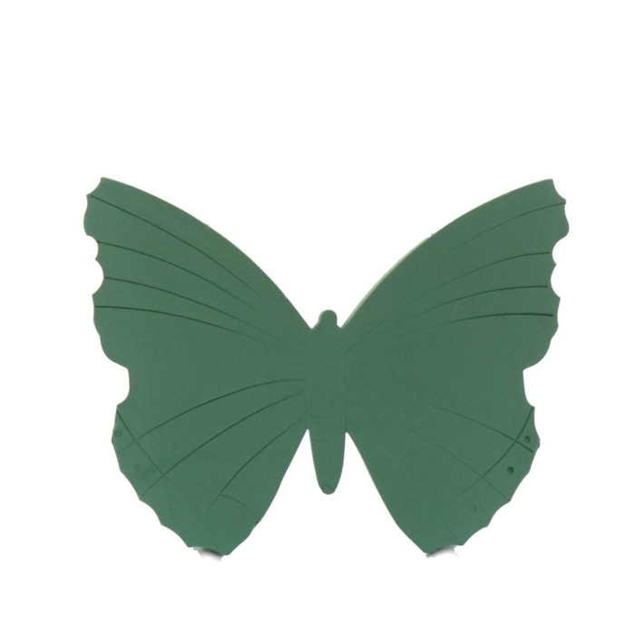 <h4>Oasis Vlinder 58*44*6cm</h4>