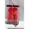 ARR BEER ZIJDE ROOS RED 28 CM