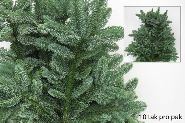 <h4>Abies Nobilis Blauw</h4>