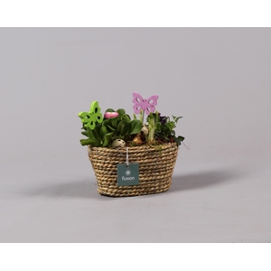 Mand ovaal zeegras voorjaar