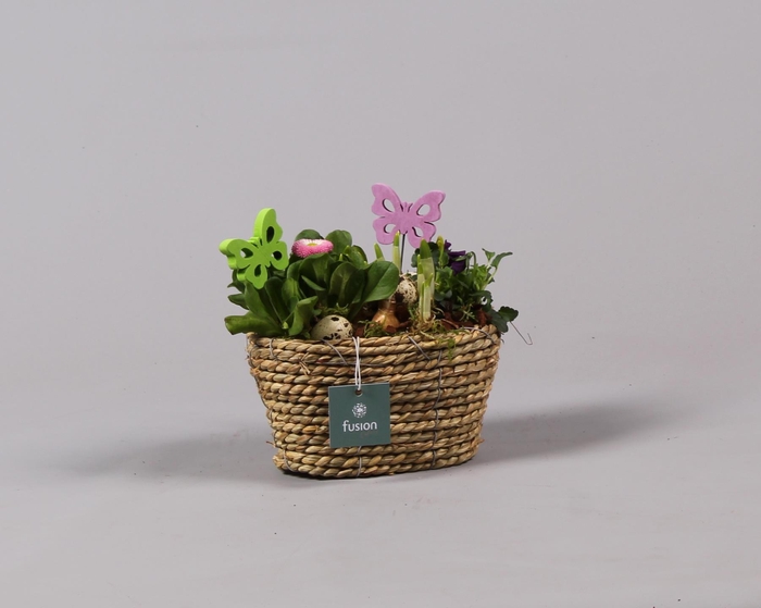 <h4>Mand ovaal zeegras voorjaar</h4>