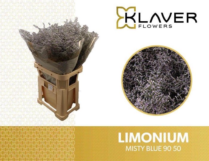 <h4>LIM MISTY BLUE</h4>