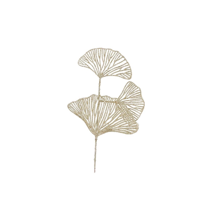 <h4>Pick Shine Lotus Cozy Gold 40cm P/12 Nm</h4>