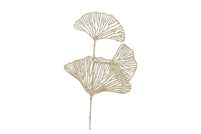 Pick Shine Lotus Cozy Gold 40cm P/12 Nm
