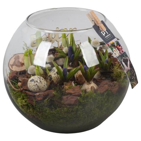 <h4>PTBMP5761 Arrangementen Tuinplanten</h4>