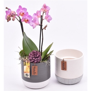 Keramiek pot wit/gr met label 14cm