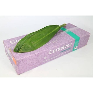 Leaf cordyline green tie