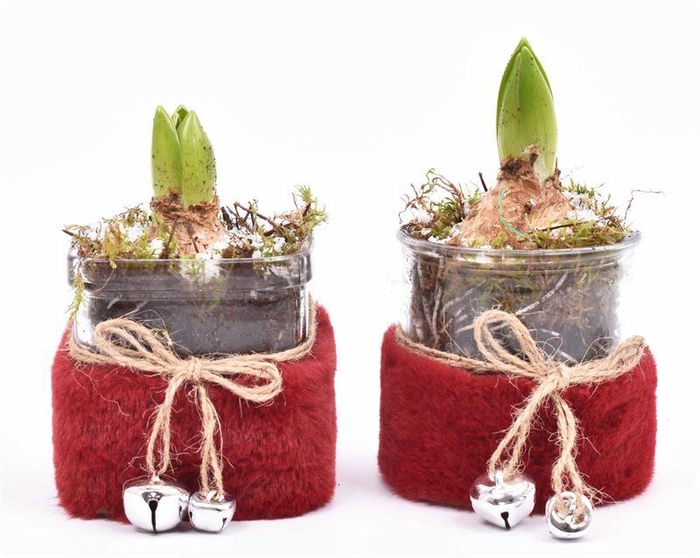 <h4>Glas met bont en bel rood 8.7cm</h4>