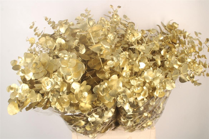 <h4>Euca Cin V Gold 400 Gram</h4>