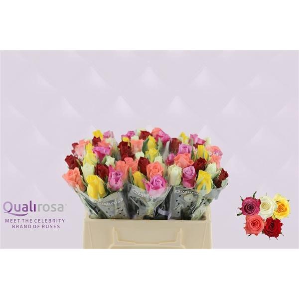 <h4>R Gr Mix Happy 35</h4>