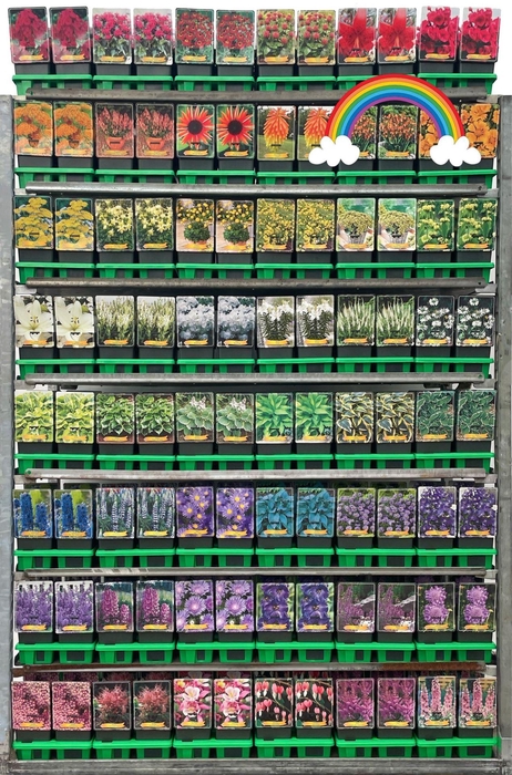 <h4>Vaste planten mixkar</h4>