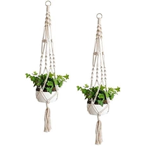 SUPORTE PLANTA P