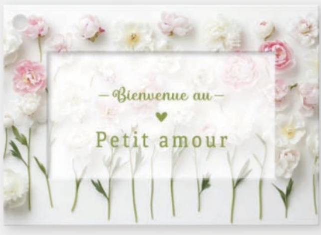 <h4>Bienvenue au petit amour (1117131F)</h4>