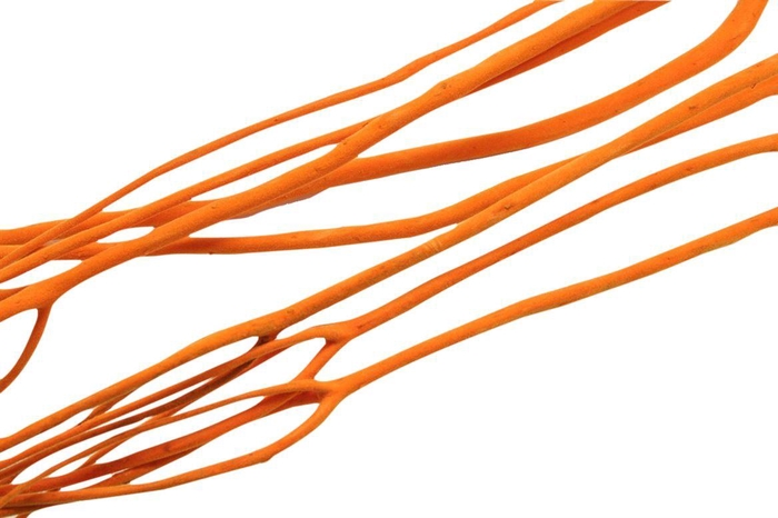 Bundle Mitsumata Flaked 3 Pcs L115