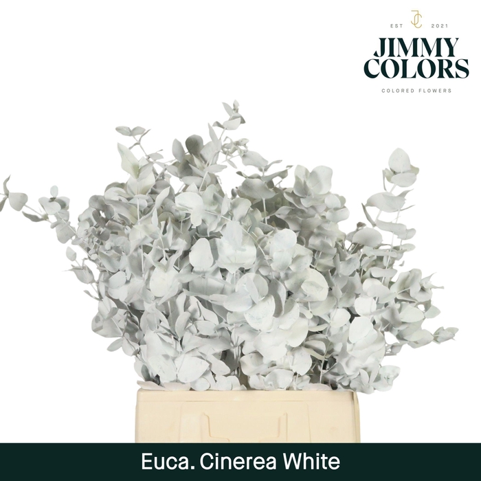 <h4>Cinerea per bos 200g White</h4>