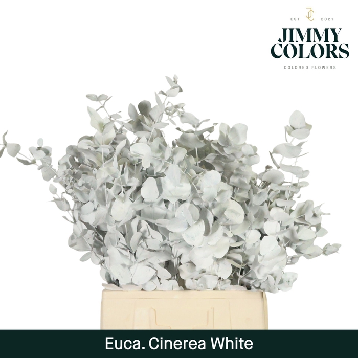 <h4>Cinerea per bos 200g White</h4>