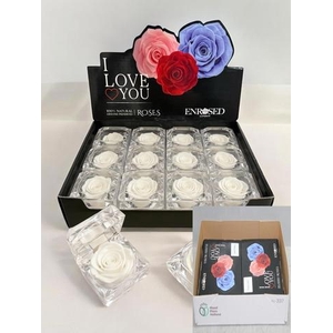 !! PROMO !! ROSA DIAMOND WHITE