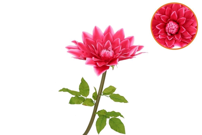 <h4>Silk Amazing Dahlia Beauty Fuchsia Xl 43x110cm</h4>