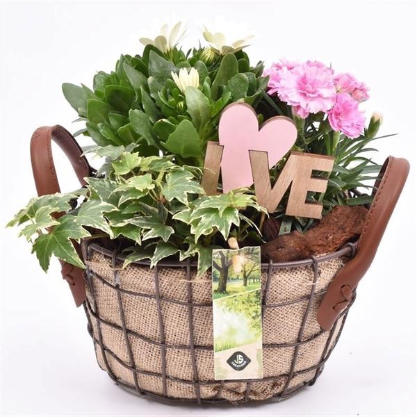 <h4>Gaasmand met jute 21x15.5cm</h4>