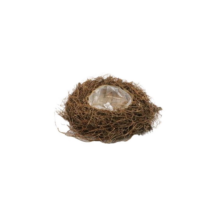 <h4>Basket Fern Root H12D38</h4>