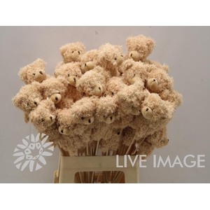 DECO stick bear light brown